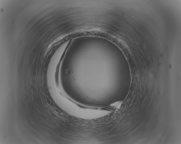 X0000081420920200702021623