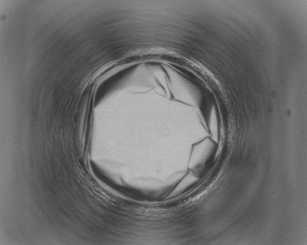 X0000081420921200702021623