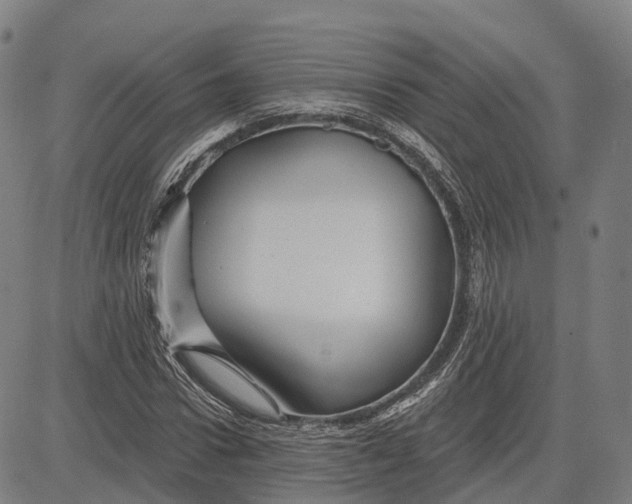 X0000081420922200702021623