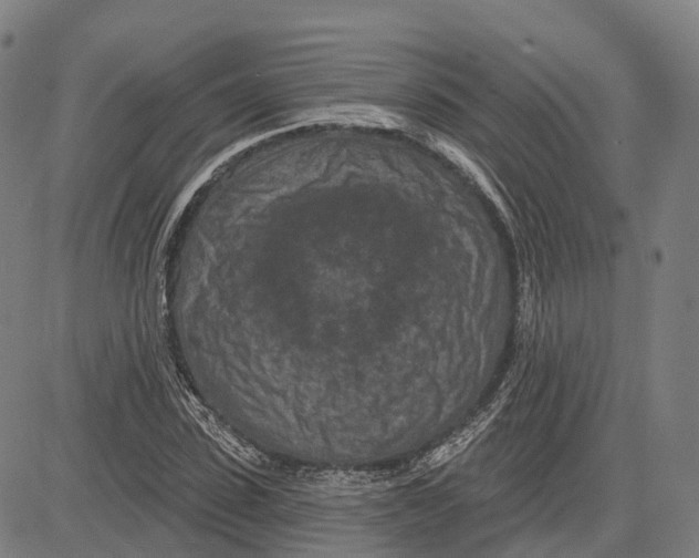 X0000081420923200702021623