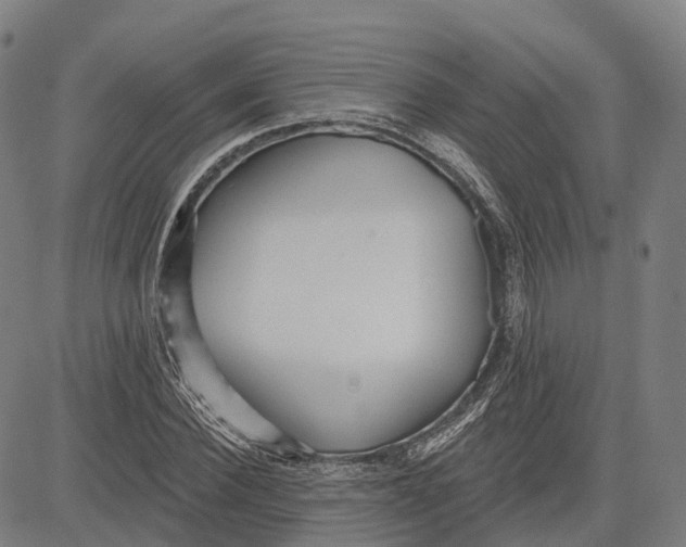 X0000081420924200702021623