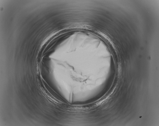 X0000081420925200702021624