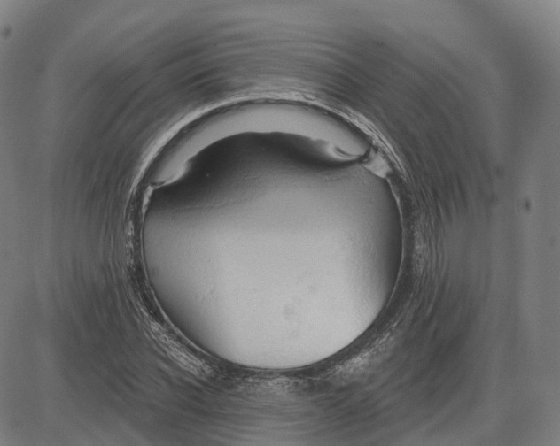 X0000081420926200702021624