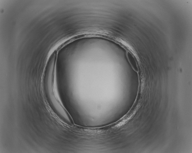 X0000081420928200702021624