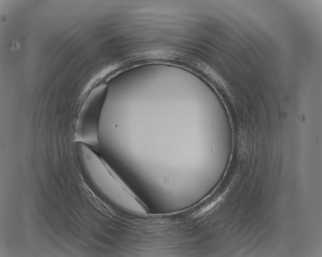 X0000081420930200702021624