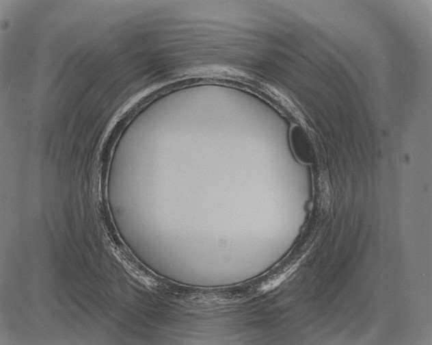 X0000081420931200702021624