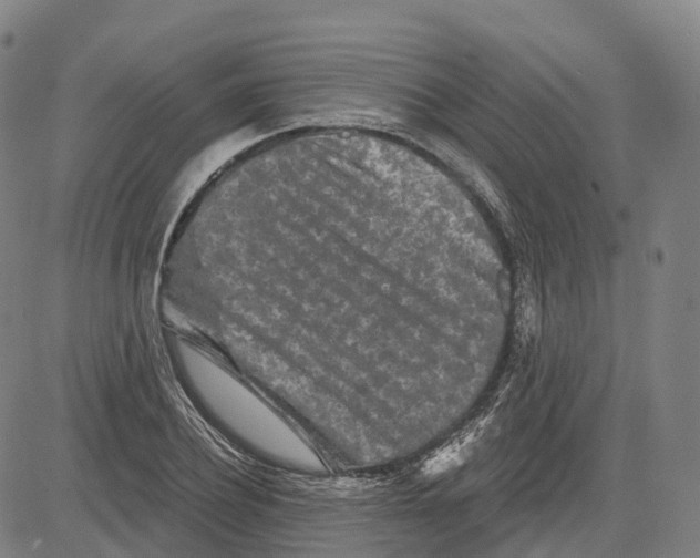 X0000081420932200702021624