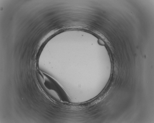 X0000081420933200702021624