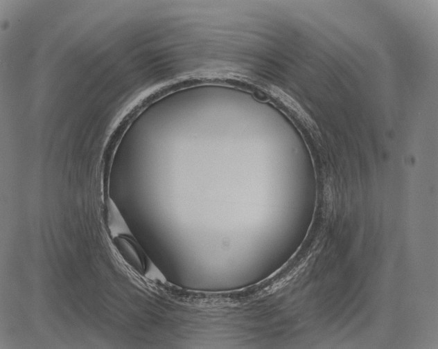 X0000081420934200702021624