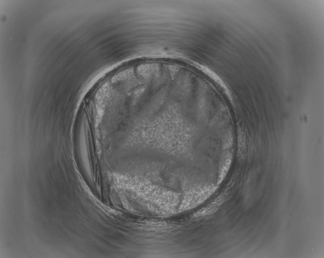 X0000081420935200702021624