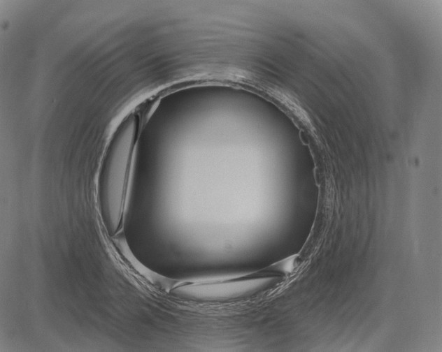 X0000081420936200702021624