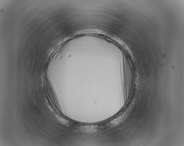 X0000081420937200702021624