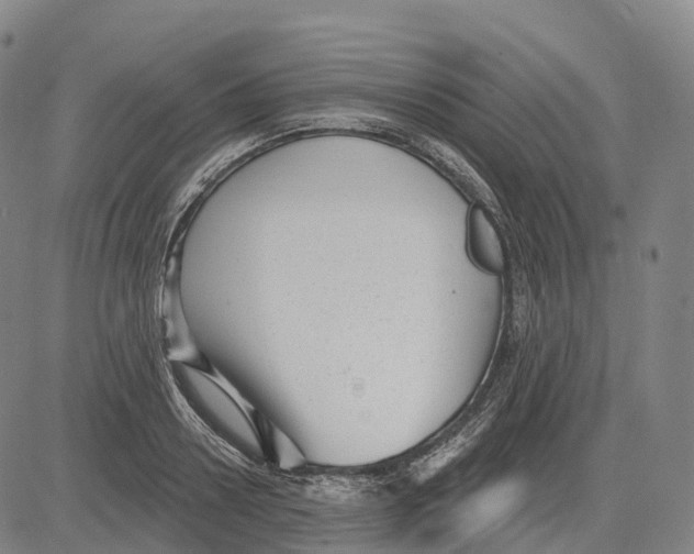 X0000081420938200702021624