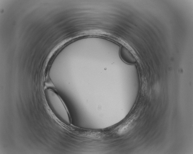 X0000081420939200702021624