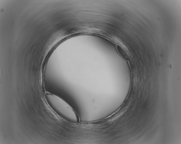 X0000081420940200702021624