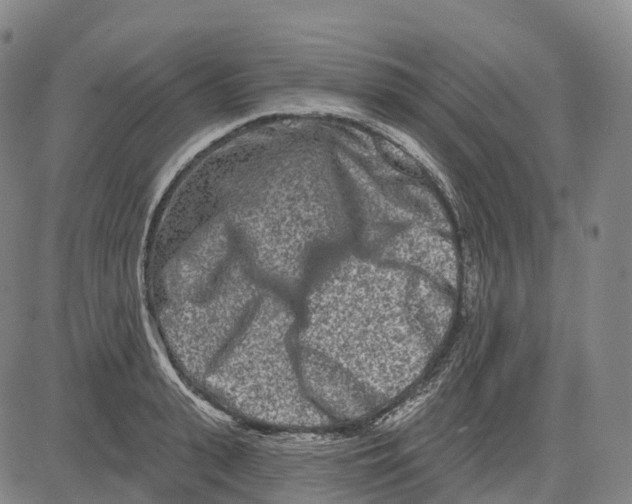 X0000081420943200702021624