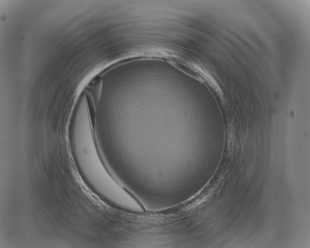 X0000081420944200702021624