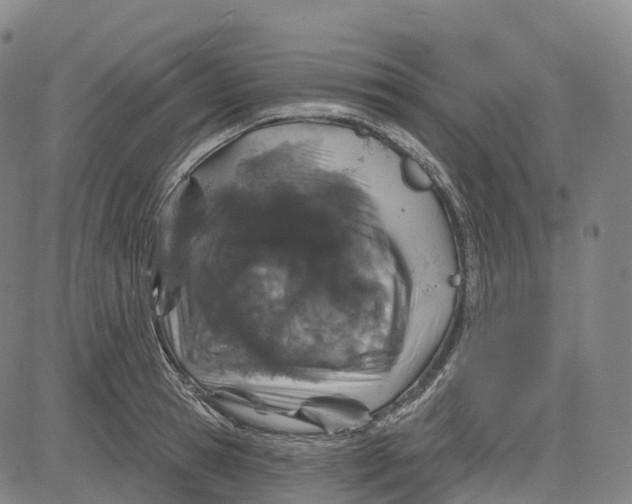 X0000081420945200702021624