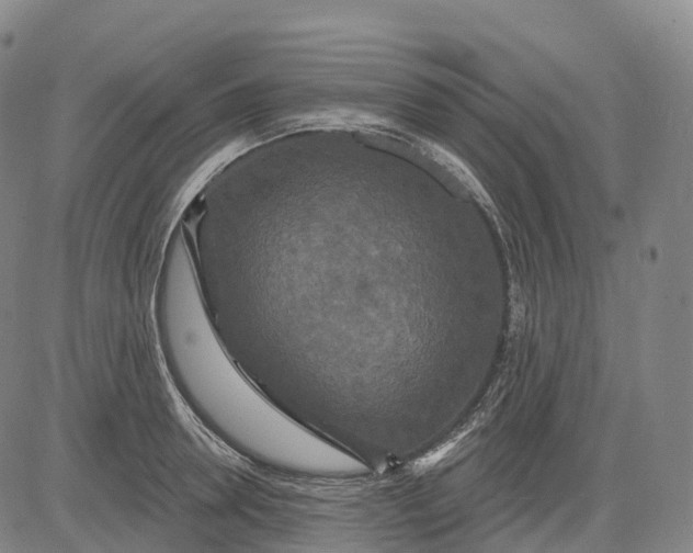 X0000081420946200702021624