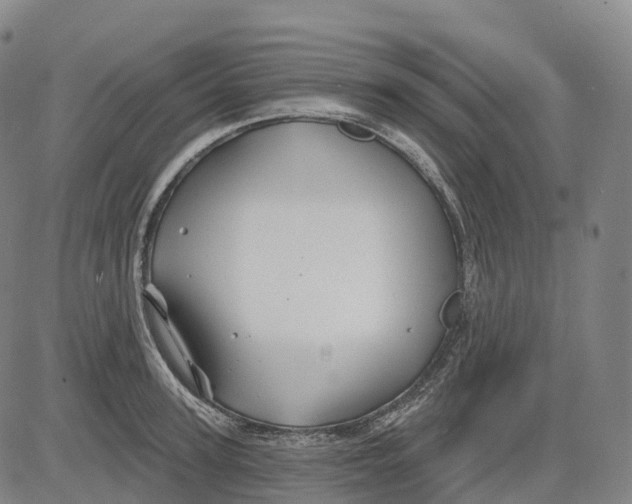 X0000081420947200702021624