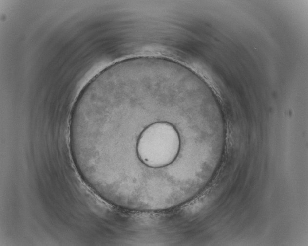 X0000081420950200702021624