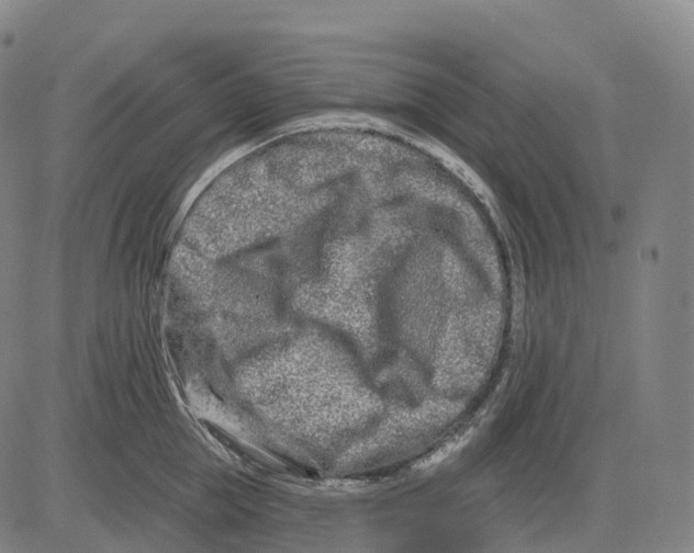 X0000081420953200702021624