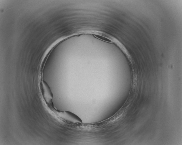 X0000081420955200702021624