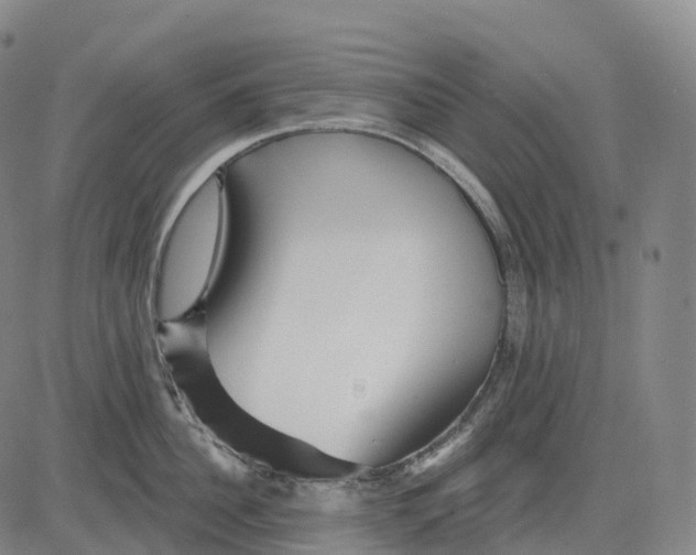 X0000081420956200702021624