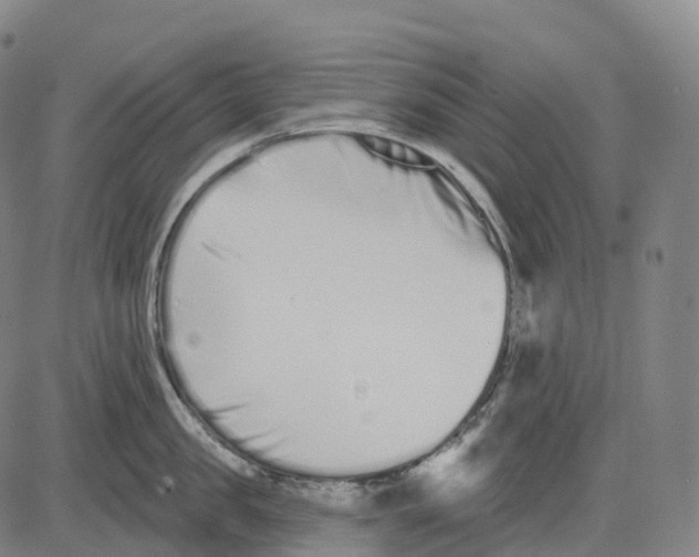 X0000081420957200702021624