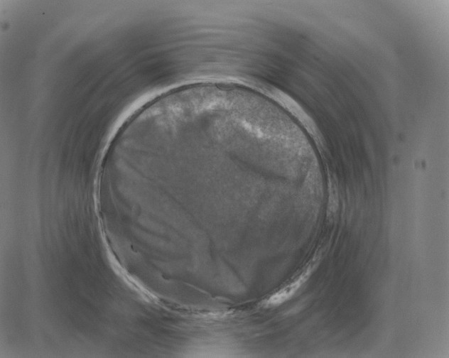 X0000081420958200702021624