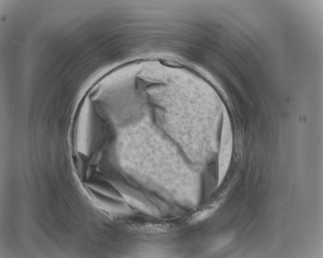 X0000081420959200702021624