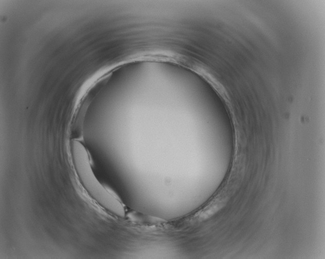 X0000081420960200702021624