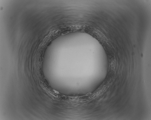 X0000081420961200702021623