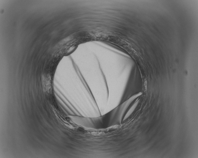 X0000081420963200702021623