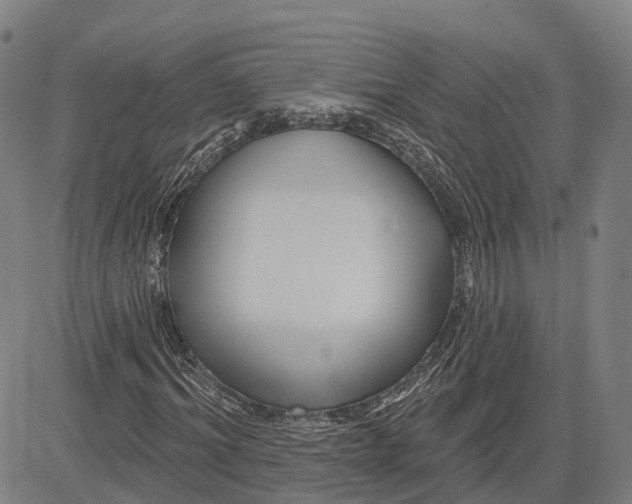 X0000081420964200702021623