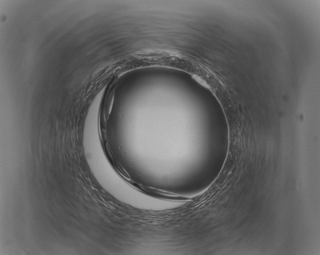 X0000081420965200702021623