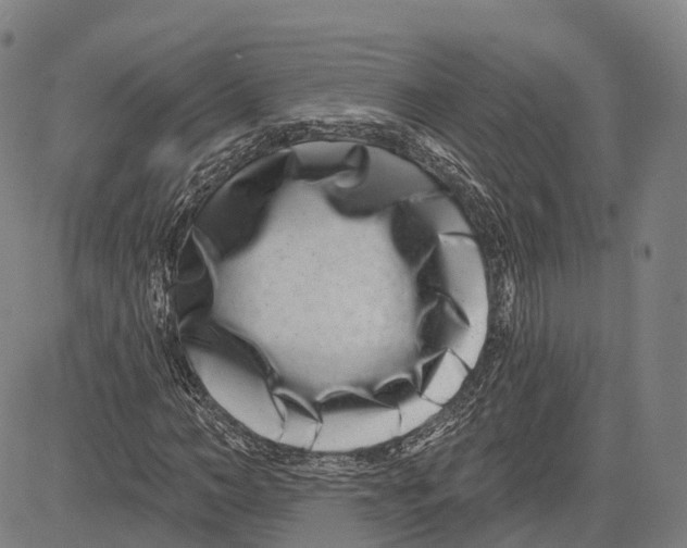 X0000081420966200702021623