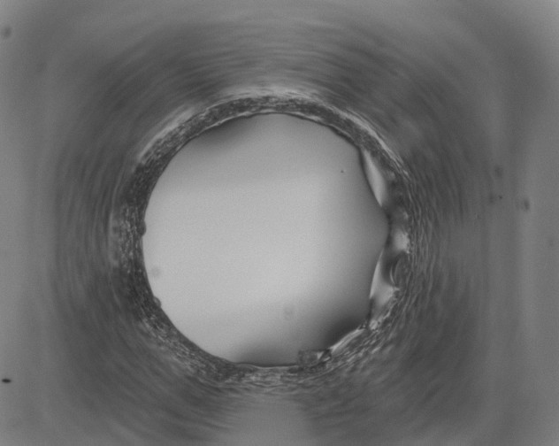 X0000081420967200702021623