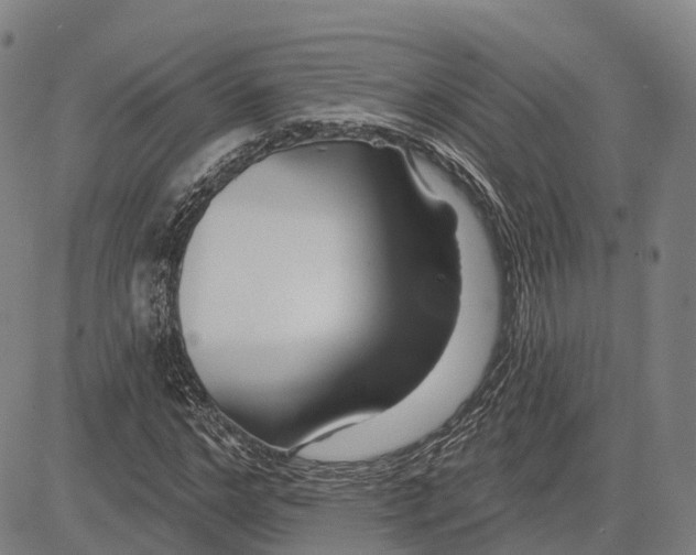 X0000081420968200702021623