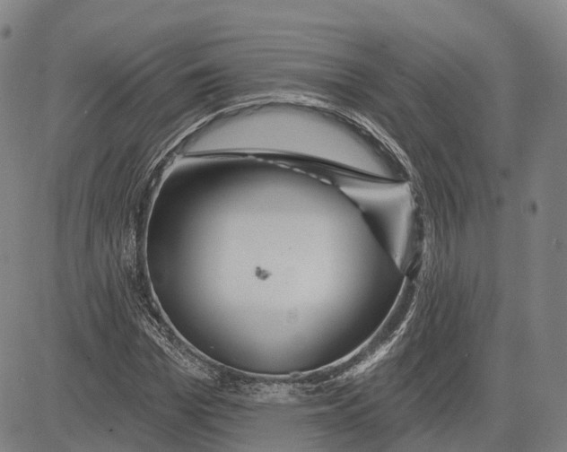 X0000081420969200702021623