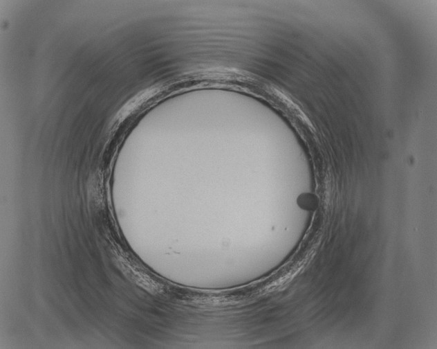 X0000081420970200702021623