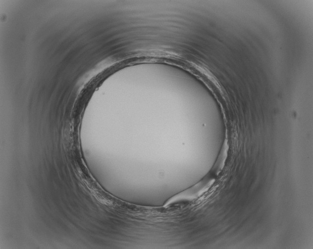 X0000081420971200702021623