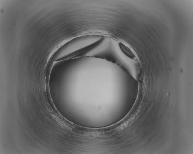 X0000081420973200702021623