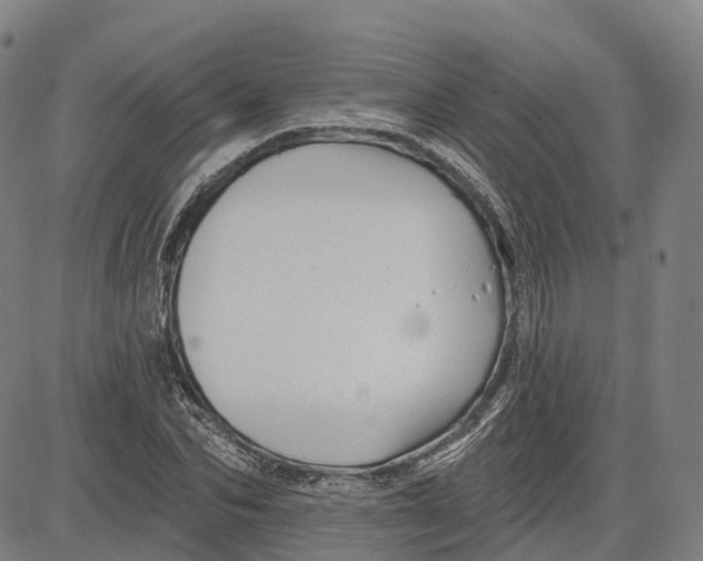 X0000081420974200702021623