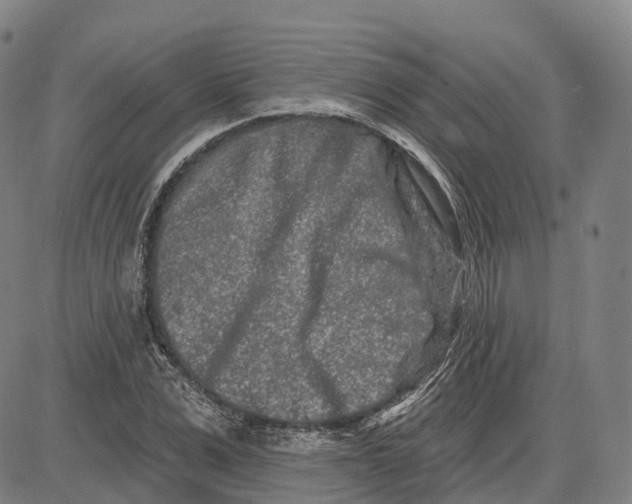 X0000081420975200702021623