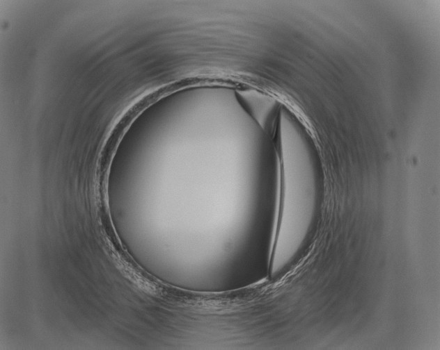 X0000081420976200702021623