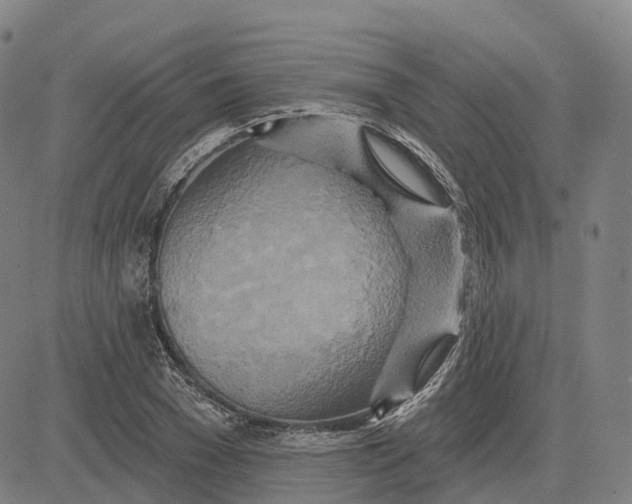 X0000081420977200702021623