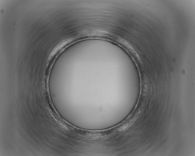 X0000081420978200702021623