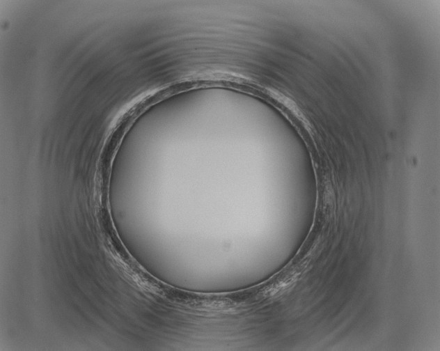 X0000081420979200702021623