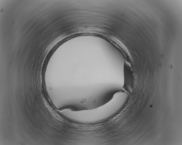 X0000081420980200702021623